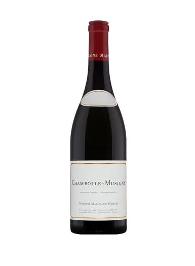 Domaine Marchand-Grillot Chambolle Musigny 2023