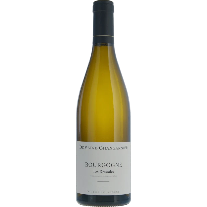 Domaine Jean-Marc Pillot Bourgogne Chardonnay "Le Haut des Champs" 2024
